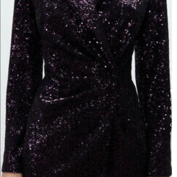 Zara Sequin Blazer Dress - Picture 5 of 7